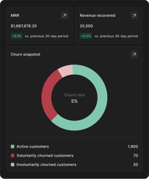Recovered revenue and churn tracked per processor